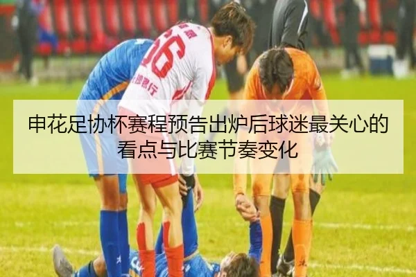申花足协杯赛程预告出炉后球迷最关心的看点与比赛节奏变化